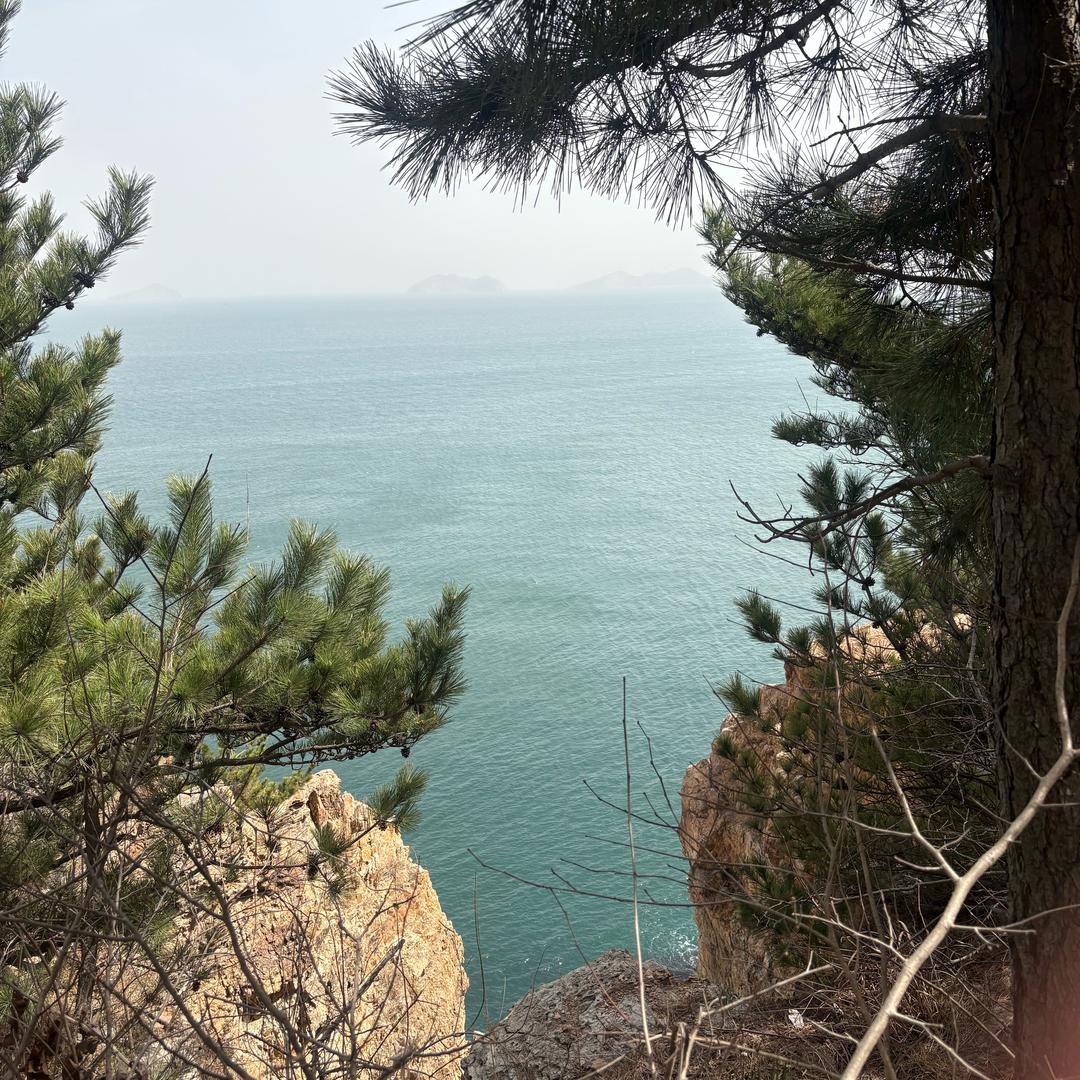 大连旅游真纯玩