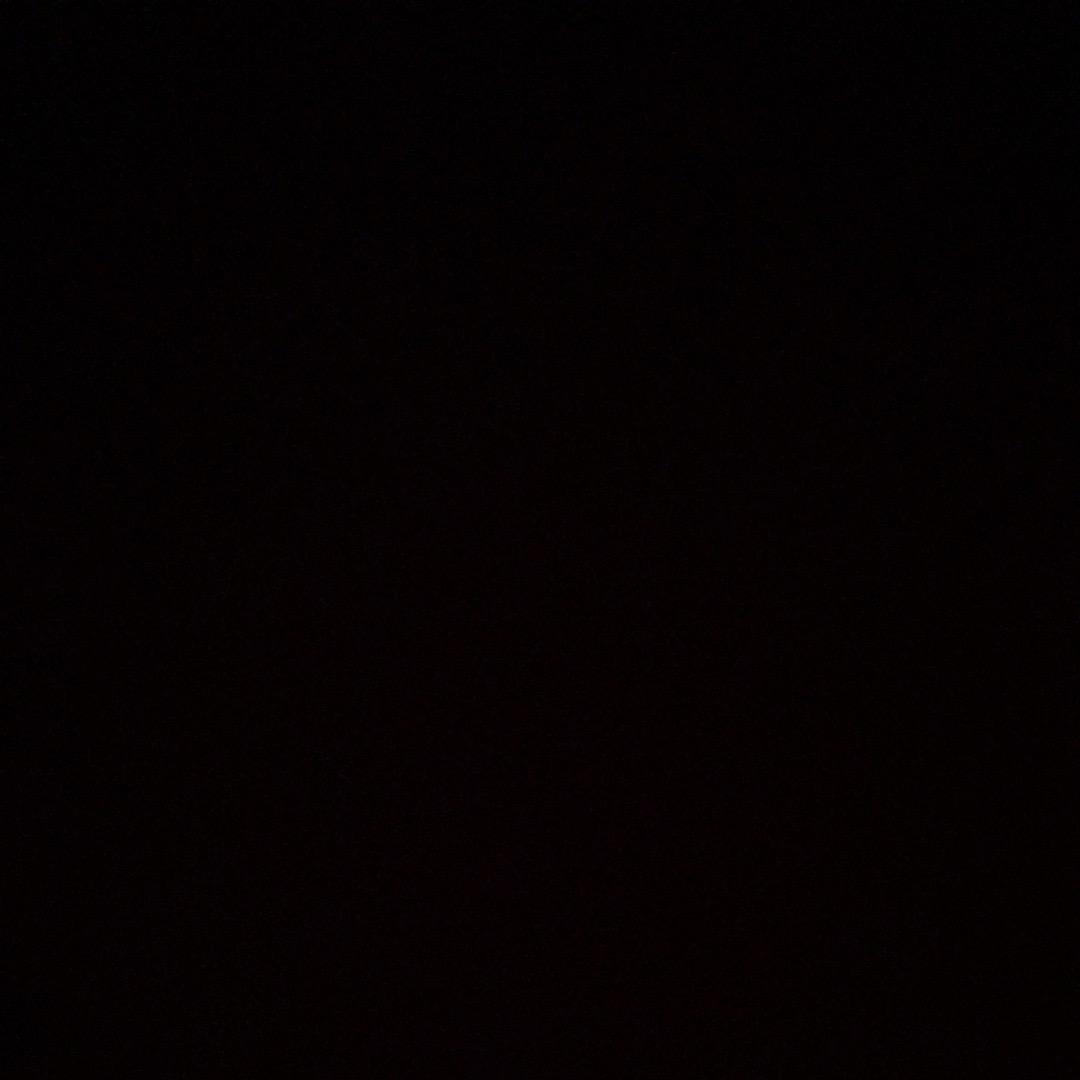 18岁火爆大蟑螂