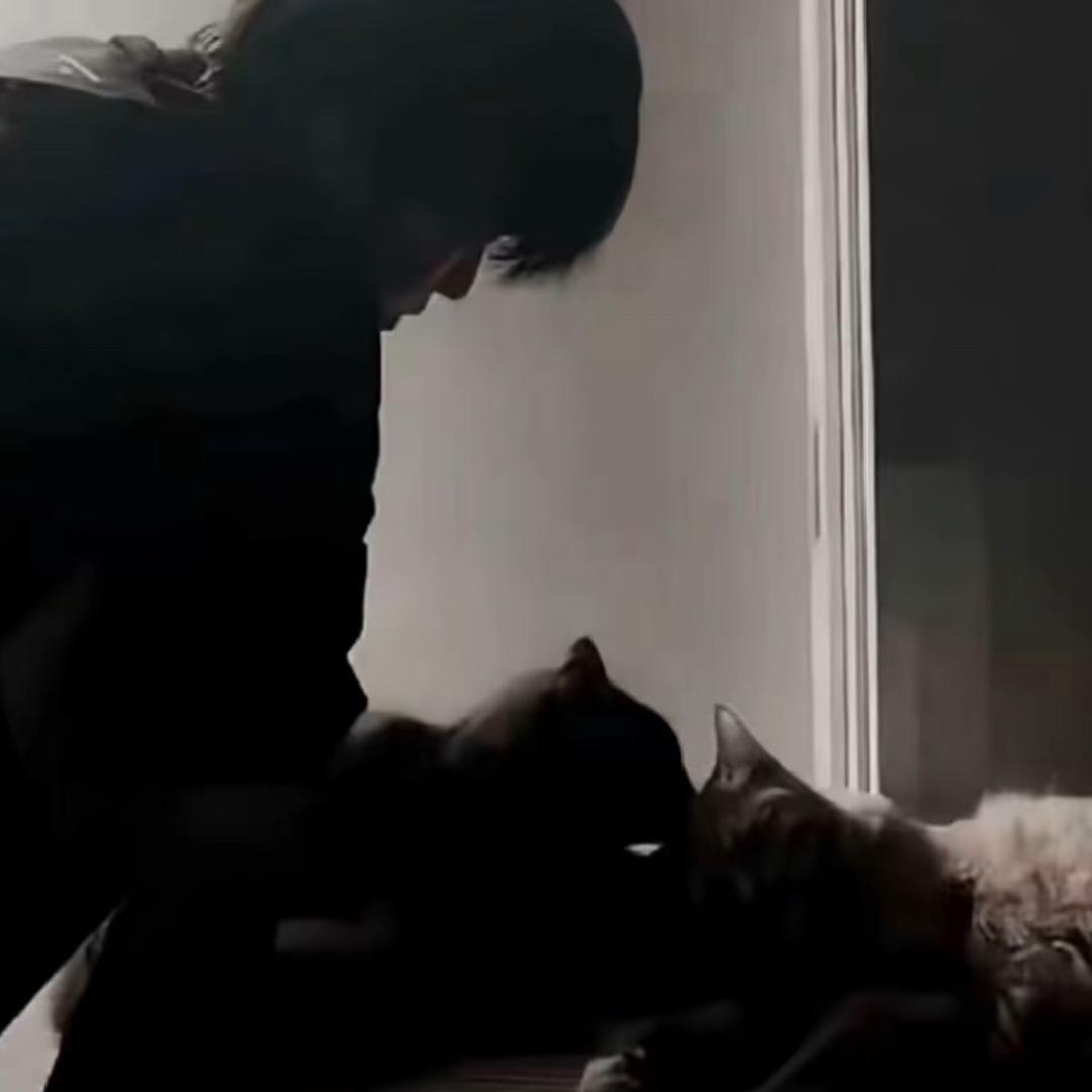 看着我的眼睛说