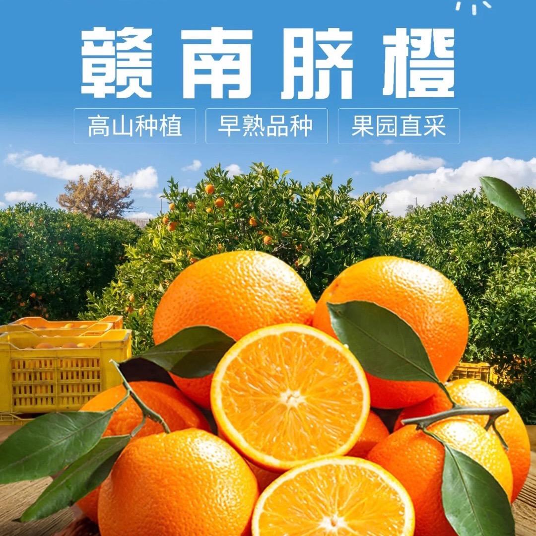 正宗赣南脐橙精品店