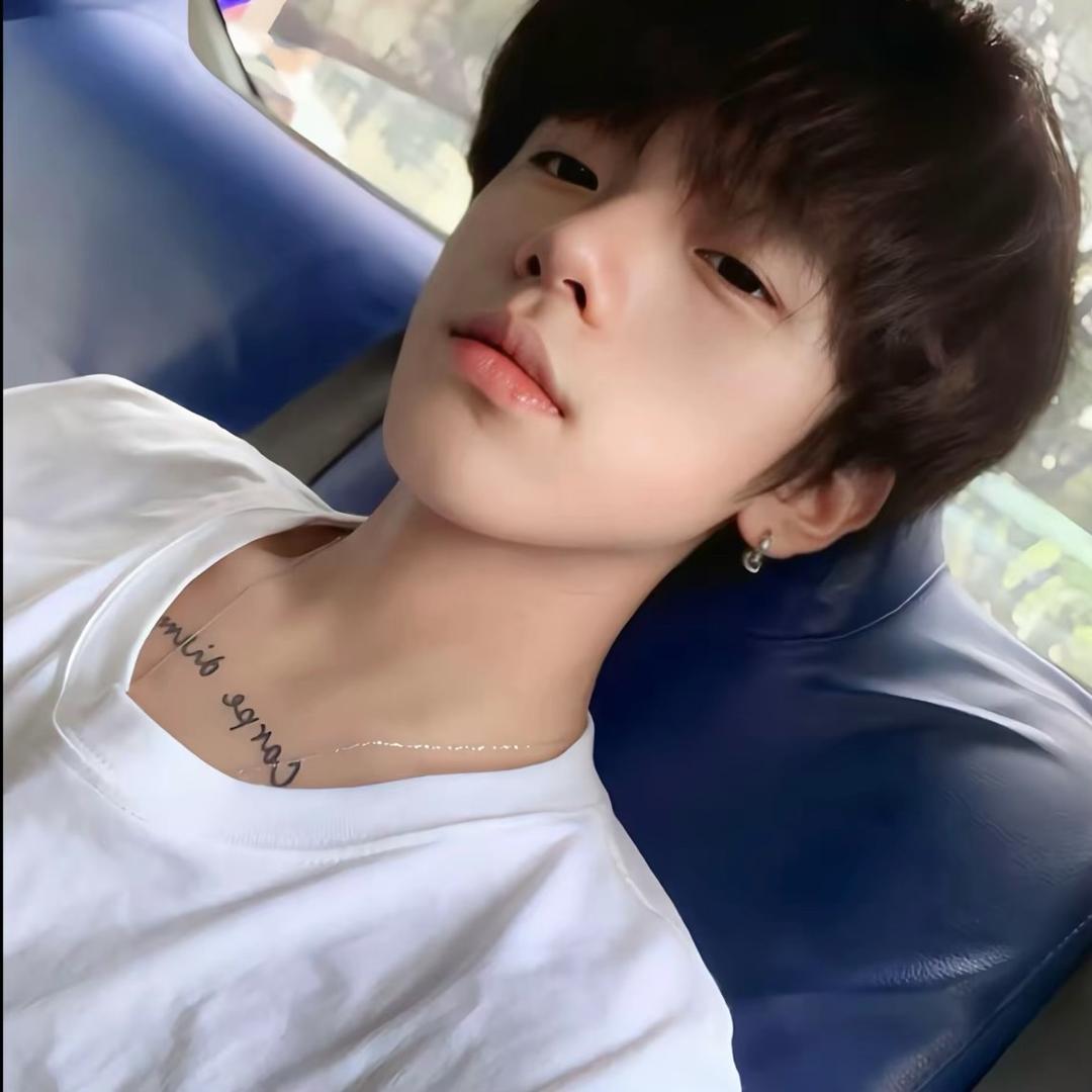 牛顿顿顿顿排骨