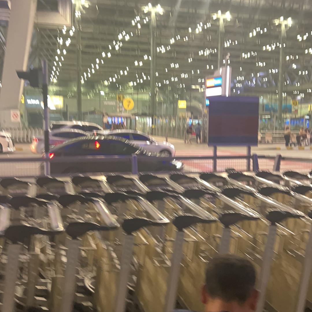 瑞瑞中国旅行社集团