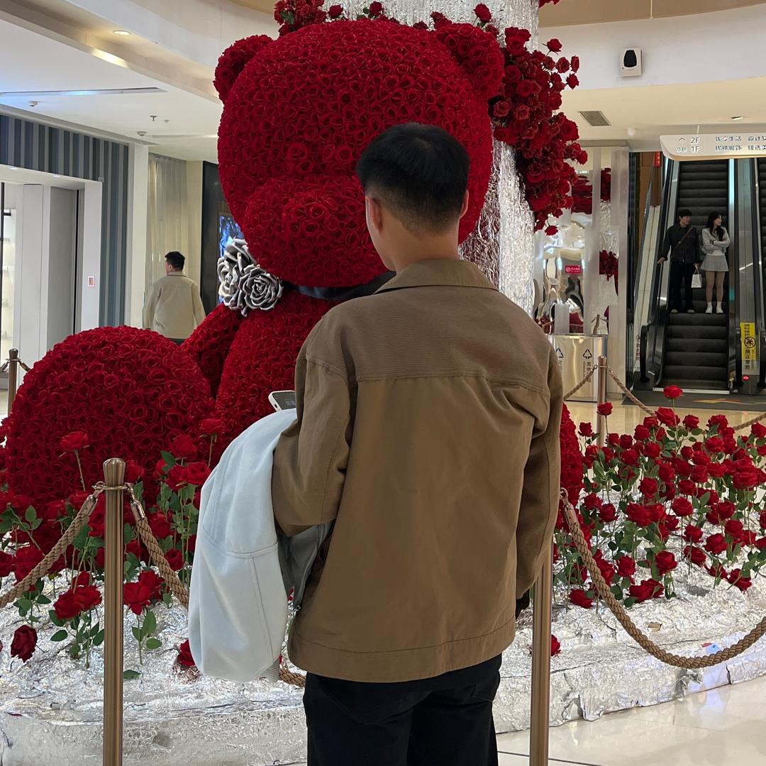 摆阳