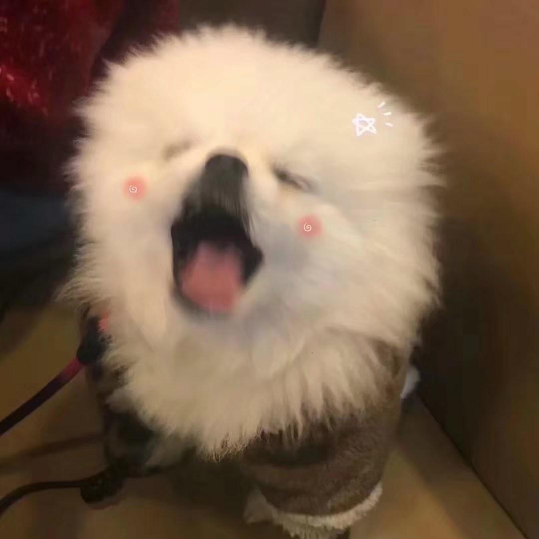 睡不着乐