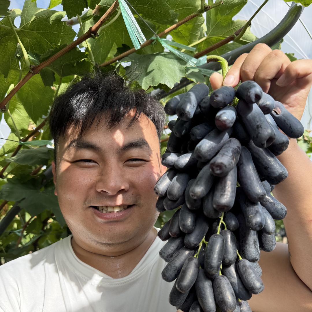 森域高端水果