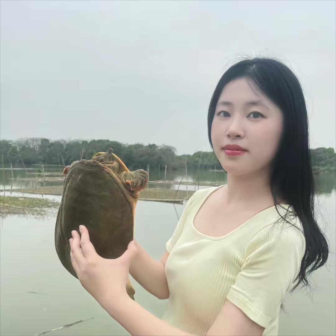 小顾妹卖甲鱼
