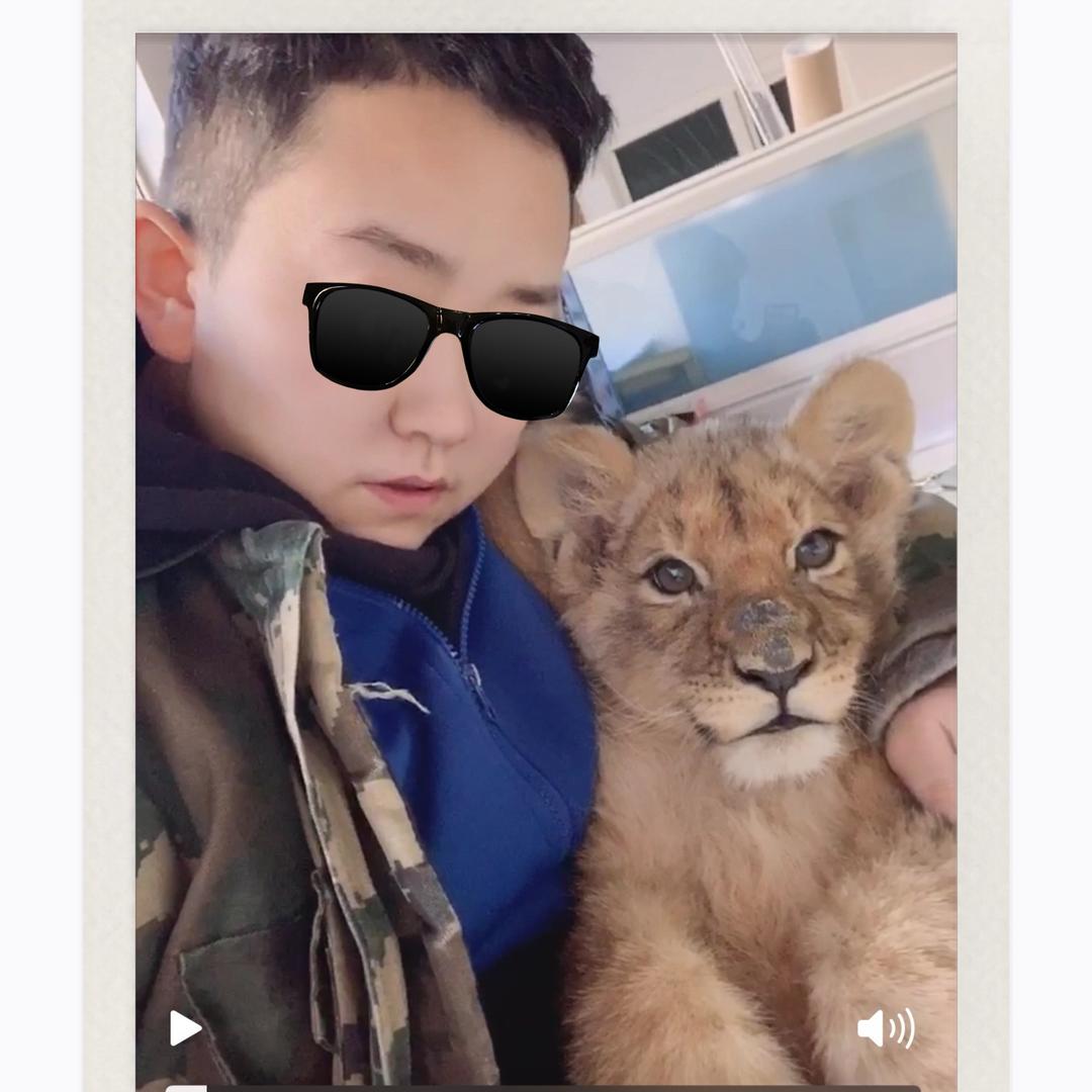 兽医爱养龟～叫我课代表