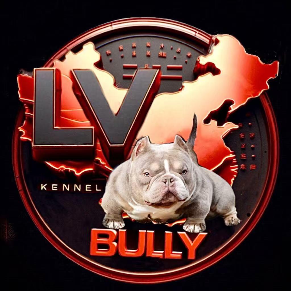 LV Bully 吕海滨
