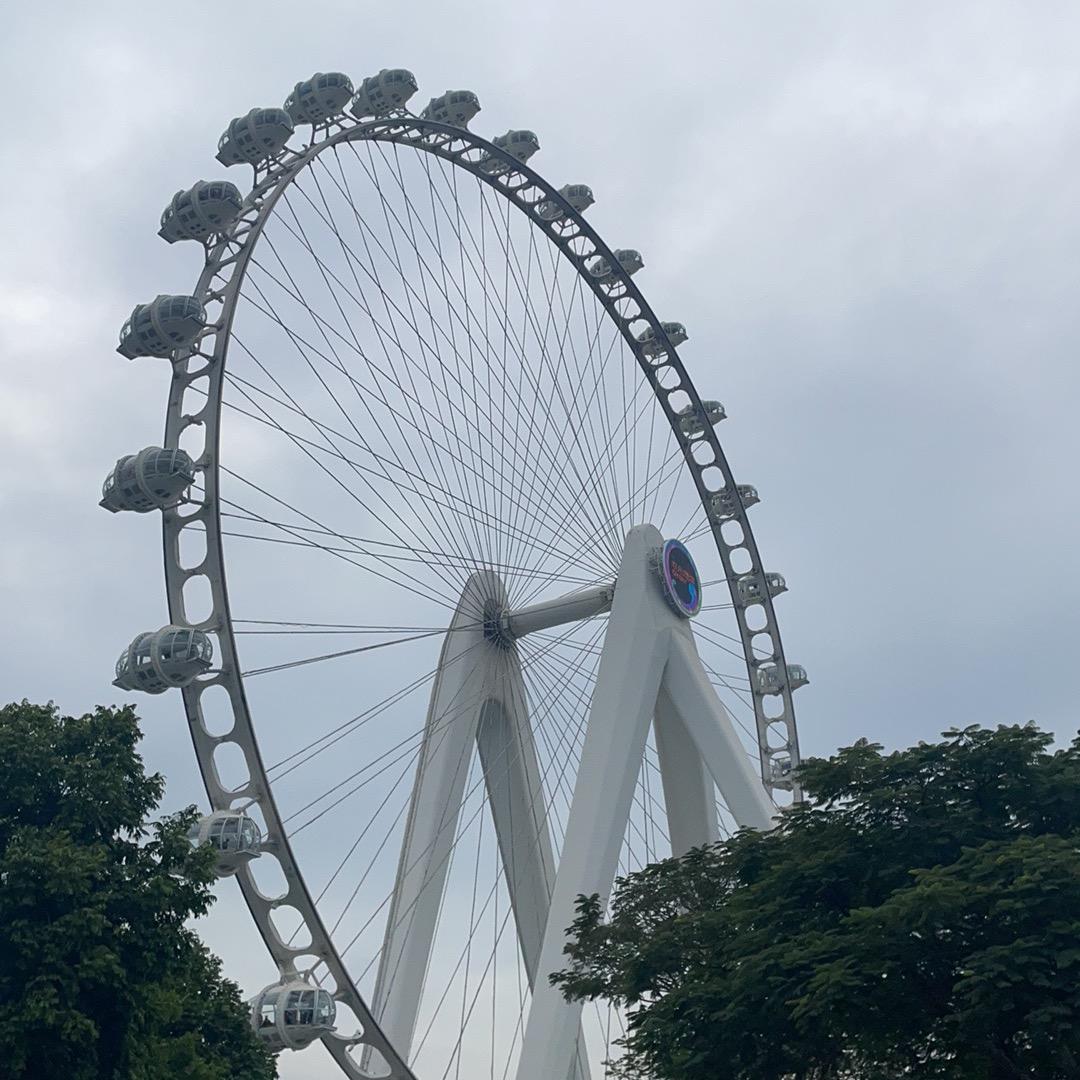 叶子青青-记录生活创造美好回忆。