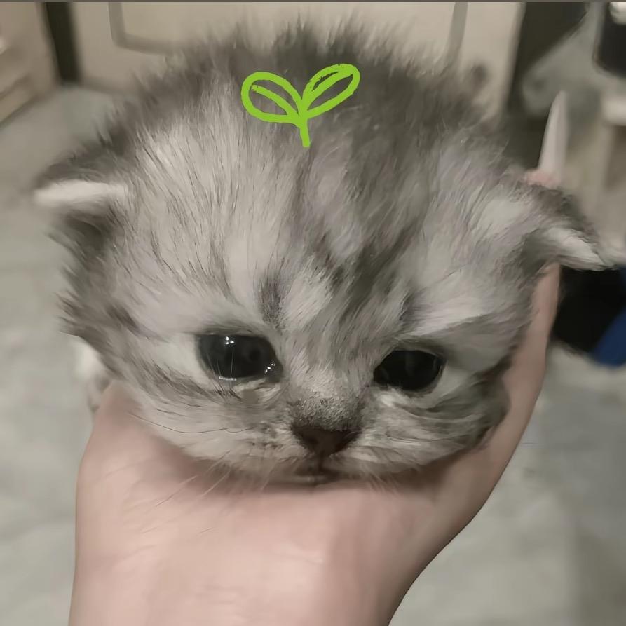 聆听