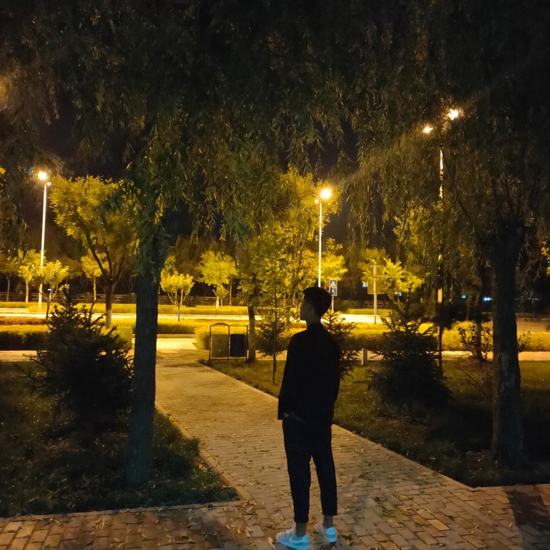 西格玛男人🧍‍♂️
