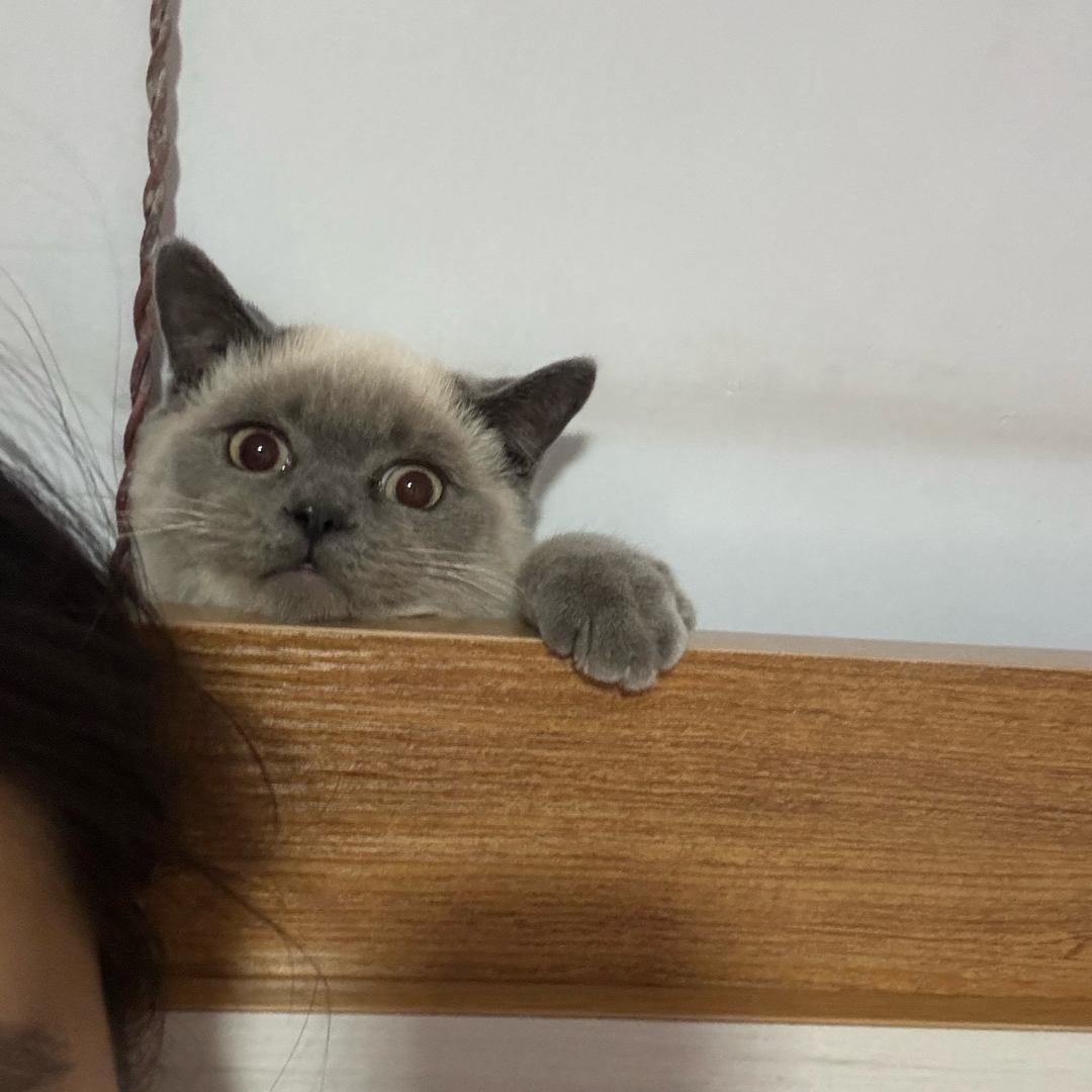 六月和十月的朋友圈