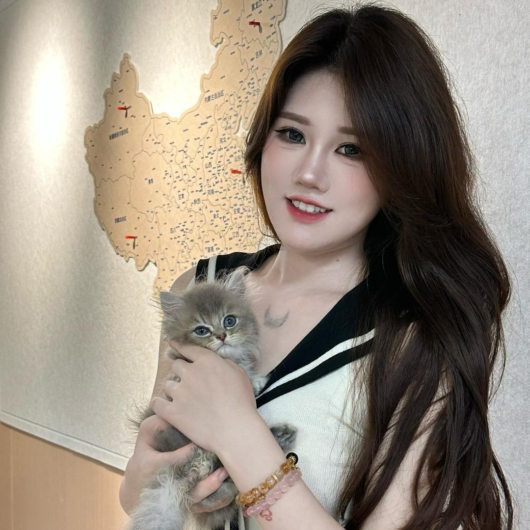 安安家的奶猫屋