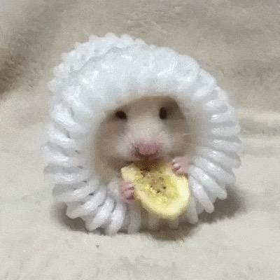 不安星