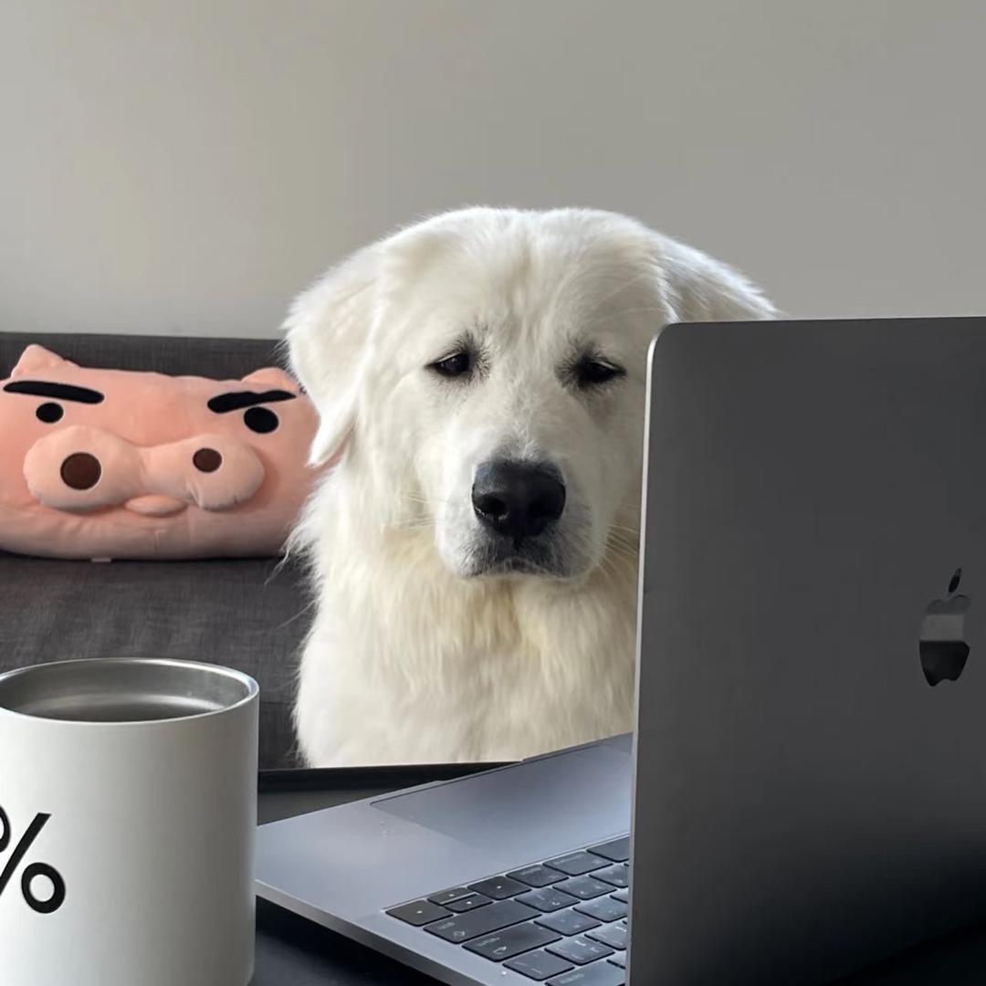 小张记录美好生活