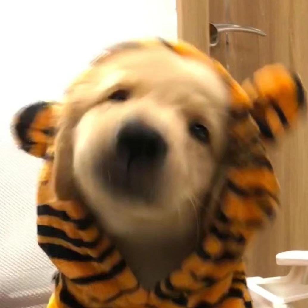 香蕉猪皮牛蛙煲
