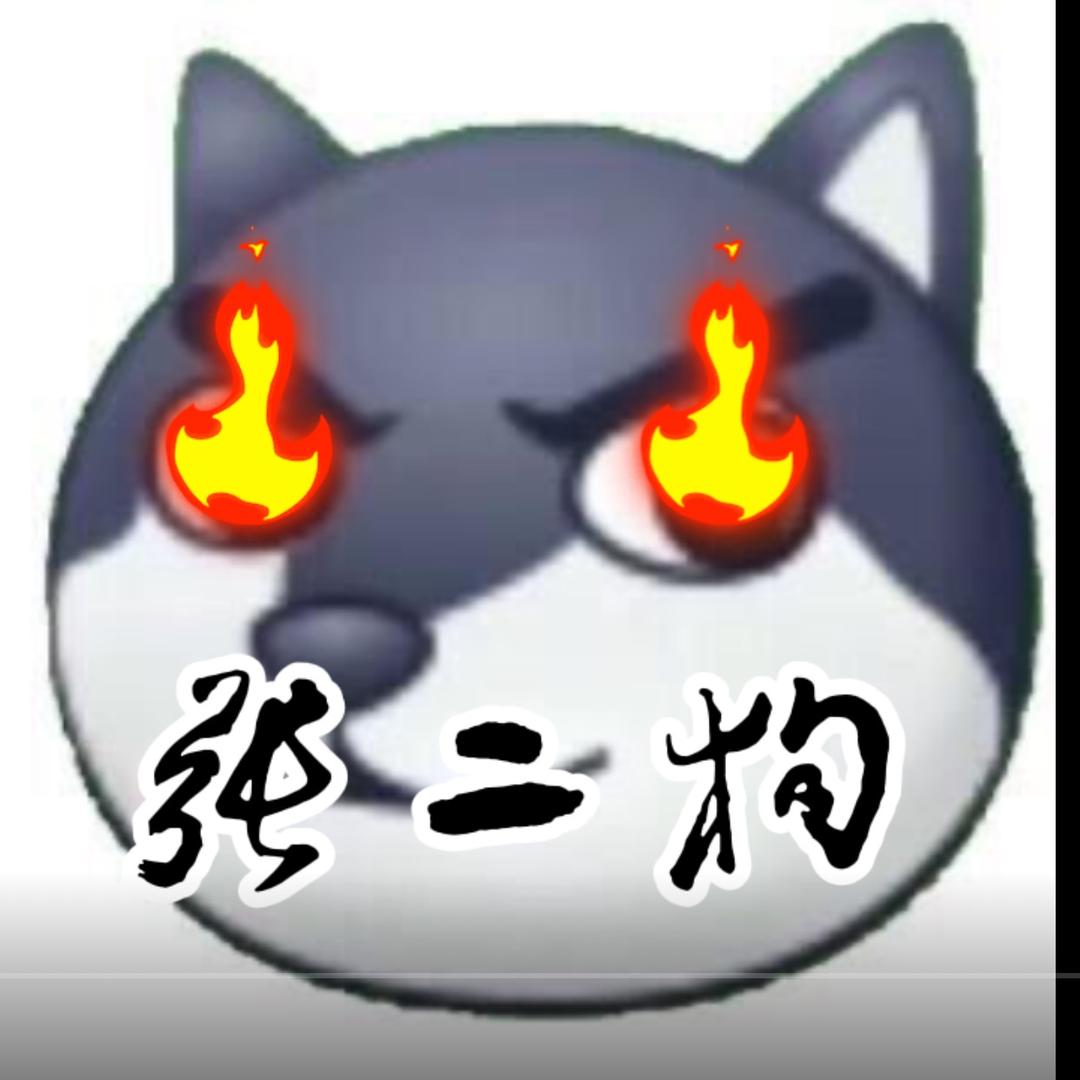 张二狗