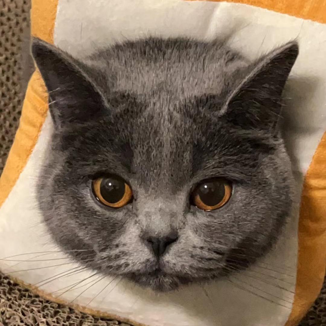 天天గyu✌︎˶╹ꇴ╹˶✌︎