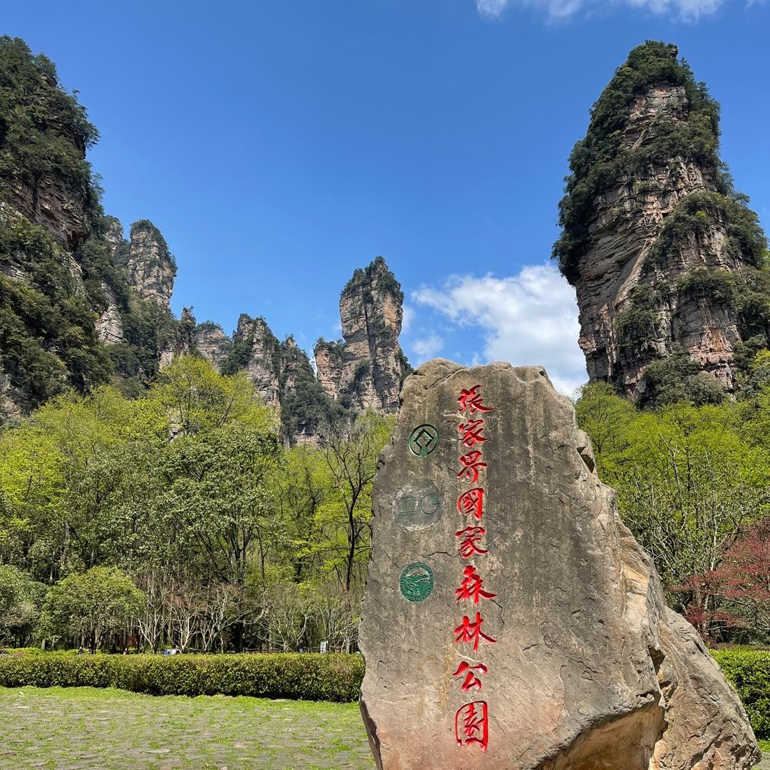张家界私人导游🍒小甜