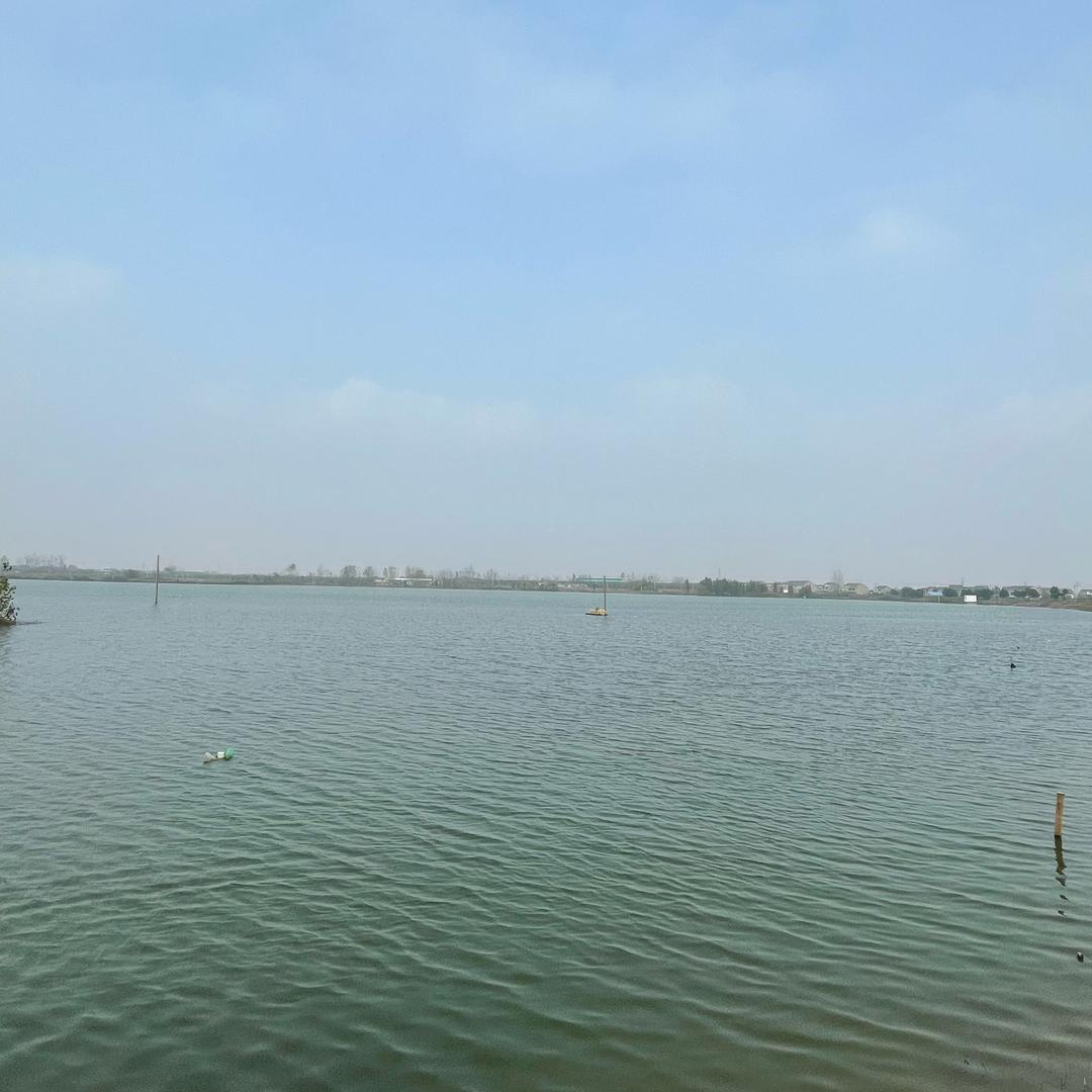 寻梦爱梦珍珠订制