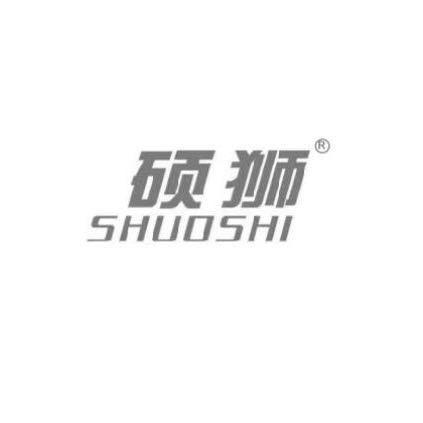 硕狮单玻磁控百叶