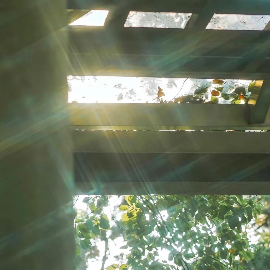 人要是能互相理解那才是真的见鬼了