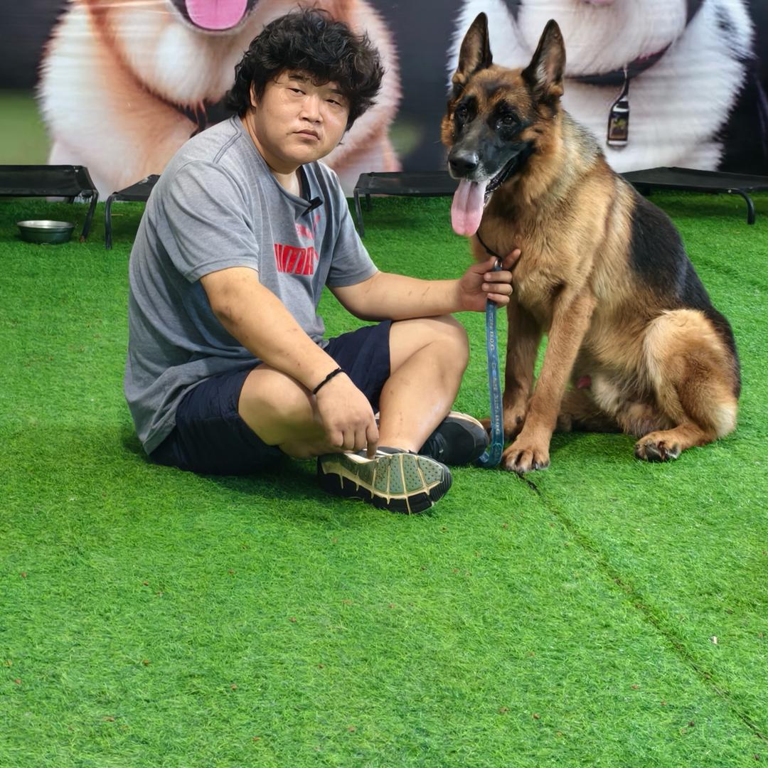 北京训犬找涛哥