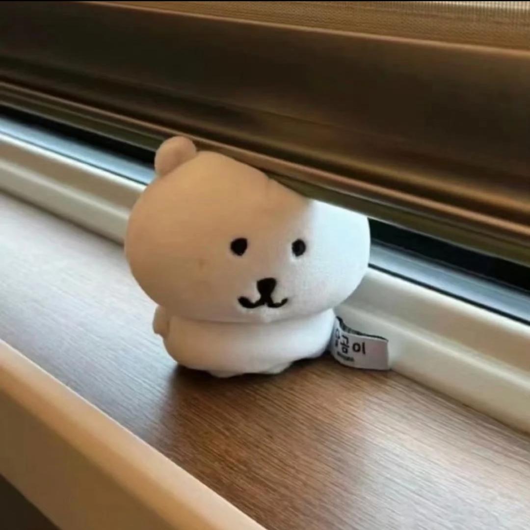 国家保护废物