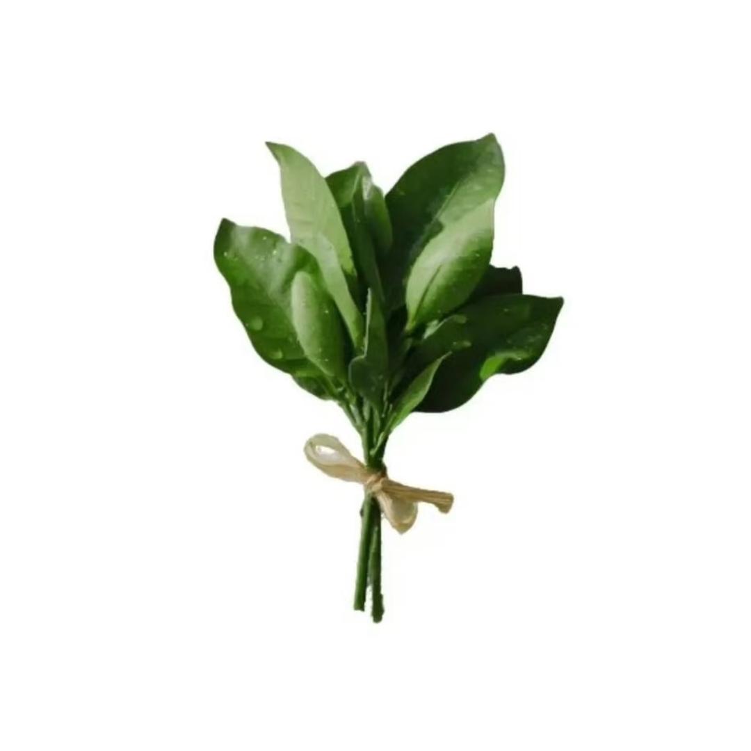 好运来临