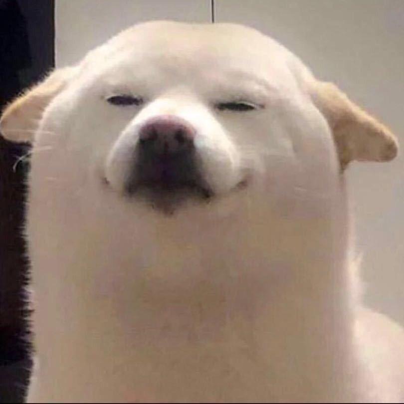 F月亮是我踹弯的