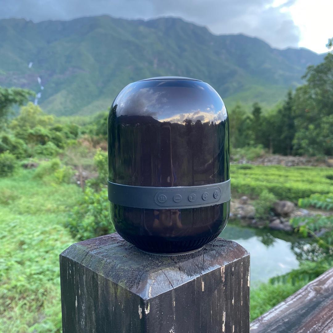 舞颠