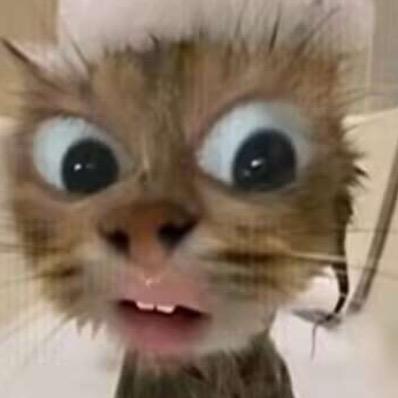 真猪奶茶