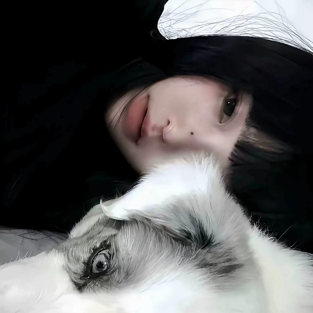 喂喂韦🧸