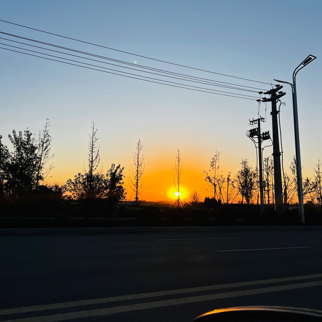 z1