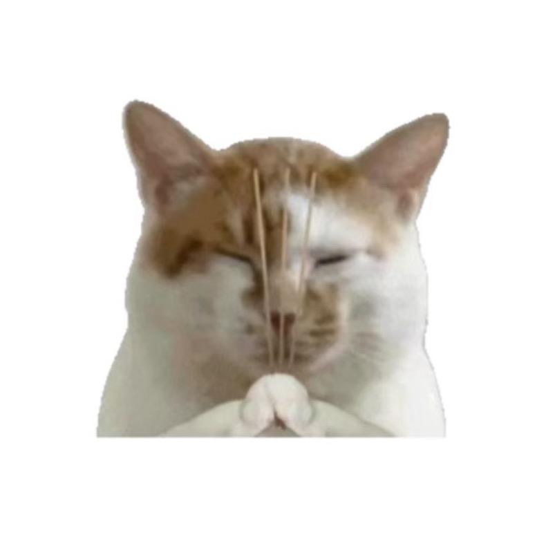 e🌈🌈🌈🌈🌈🌈🌈