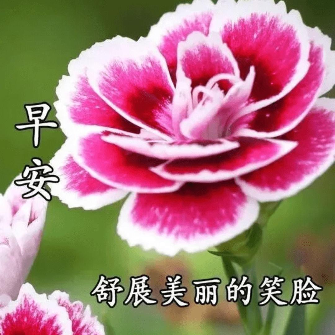 @..青春无悔岁月如歌