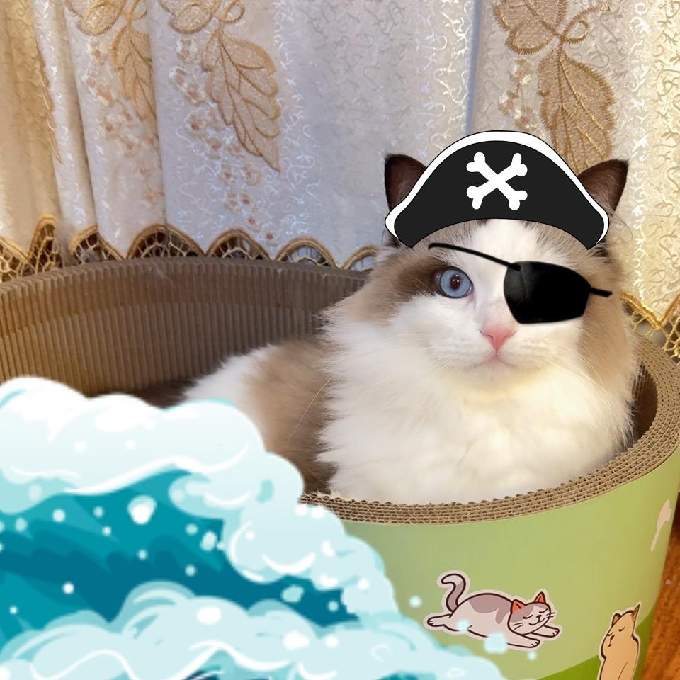 香椿芽是只喵🐱