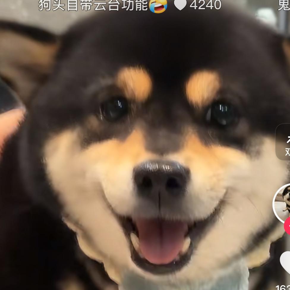 我是我哥