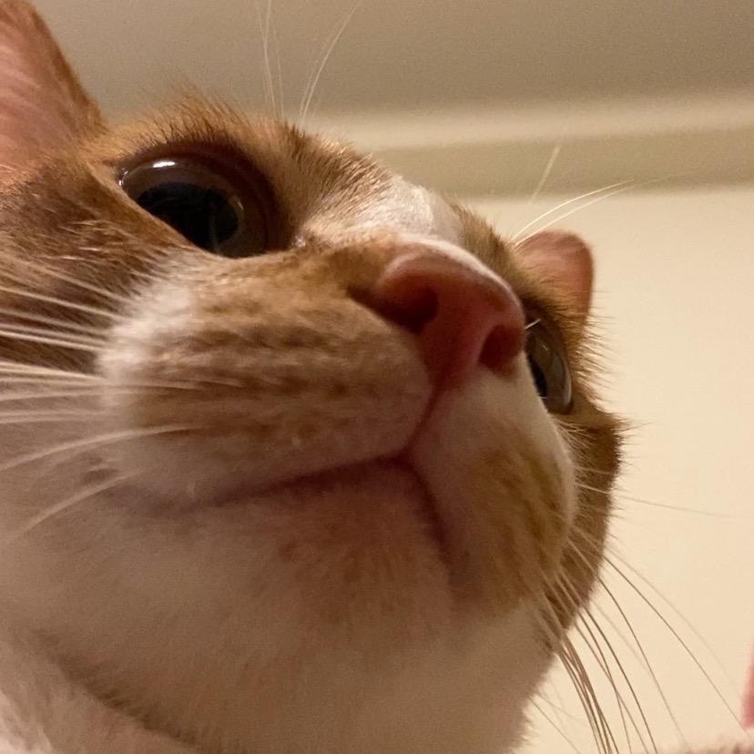 陈图图的朋友圈