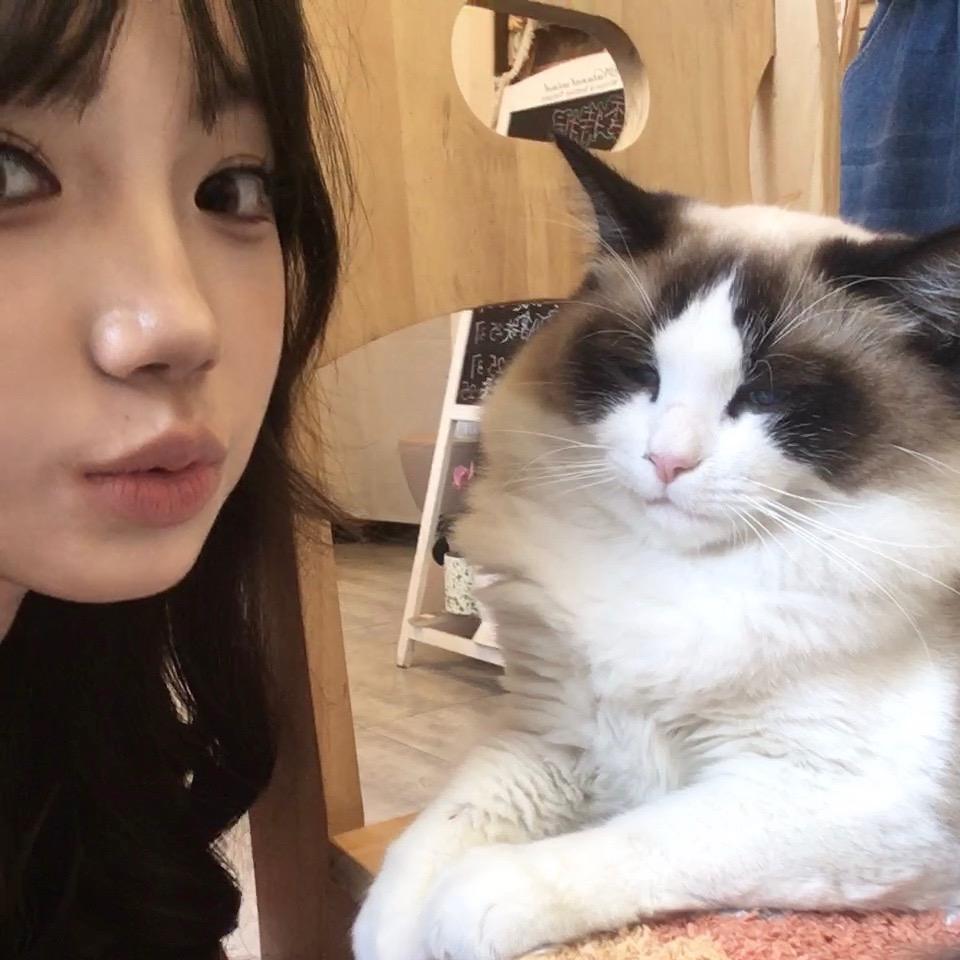 罗非鱼爱上金汤怡锅炖～