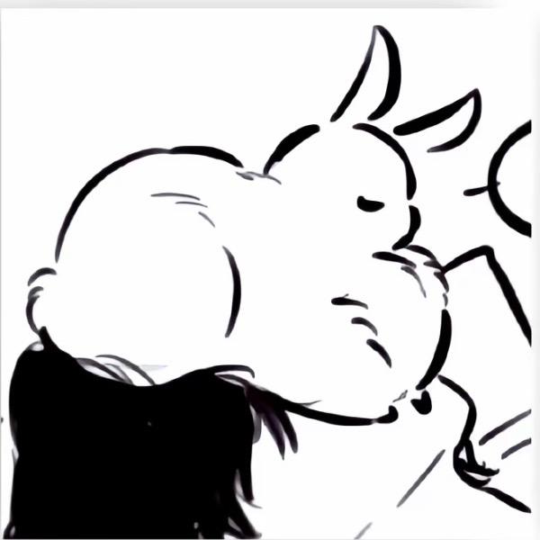 博博bobobo