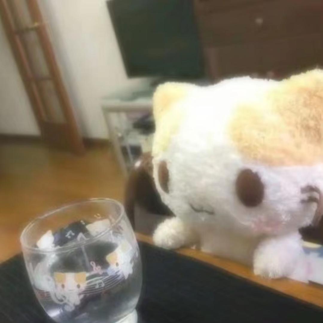 蛞蝓TvT