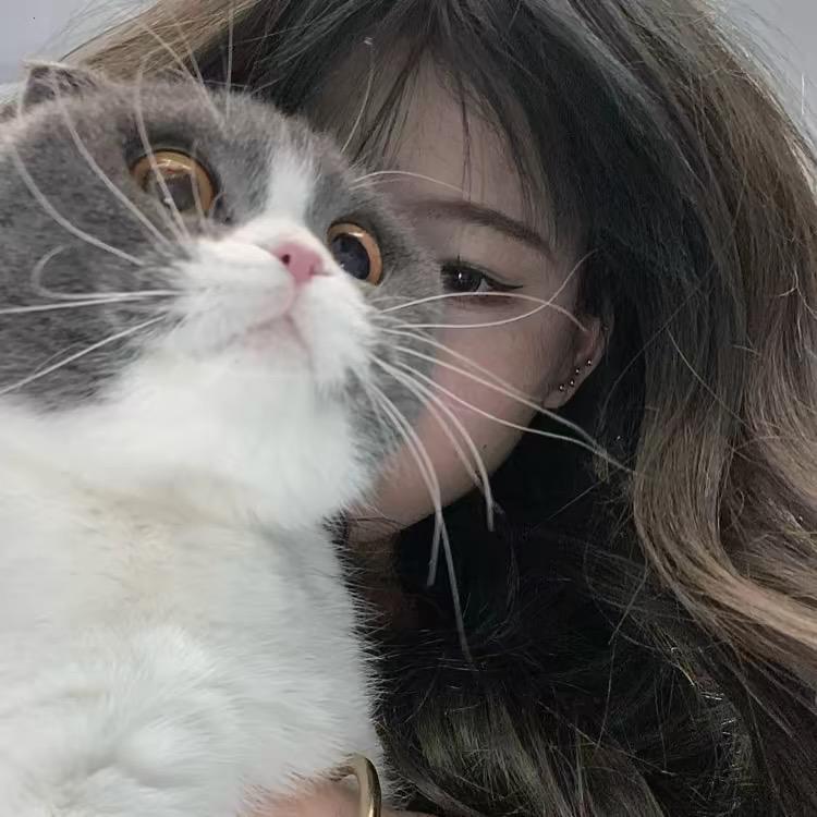 达旗 概念S设计师 闵闵
