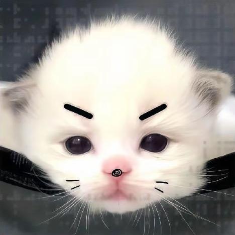 鼠来宝