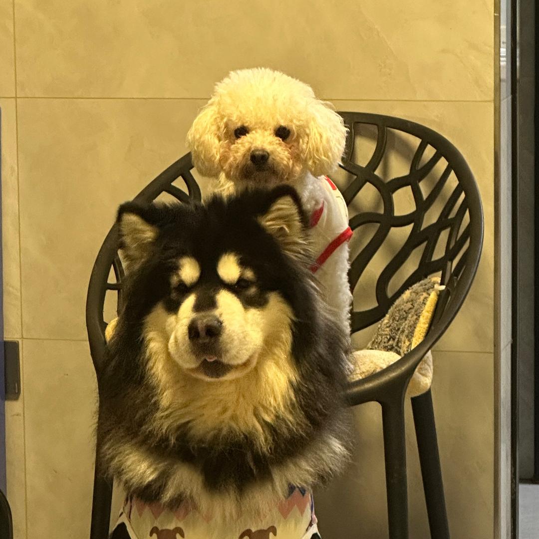 happy～lucky