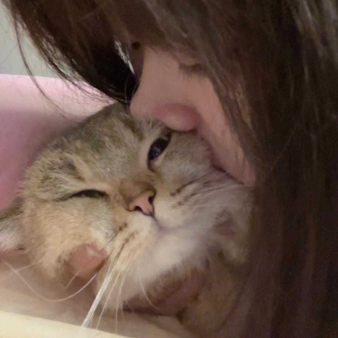 虎子