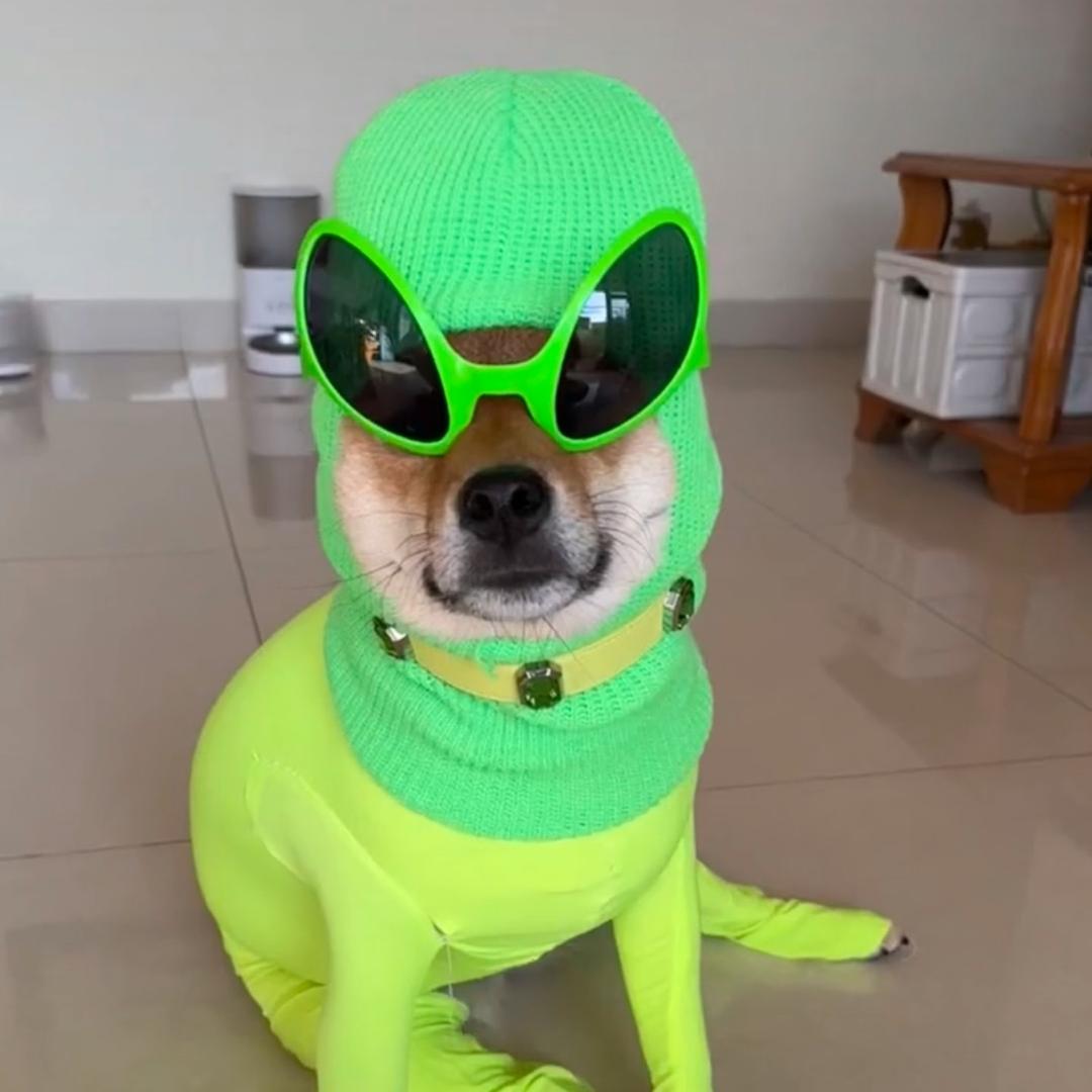 Joeyu 鯤_