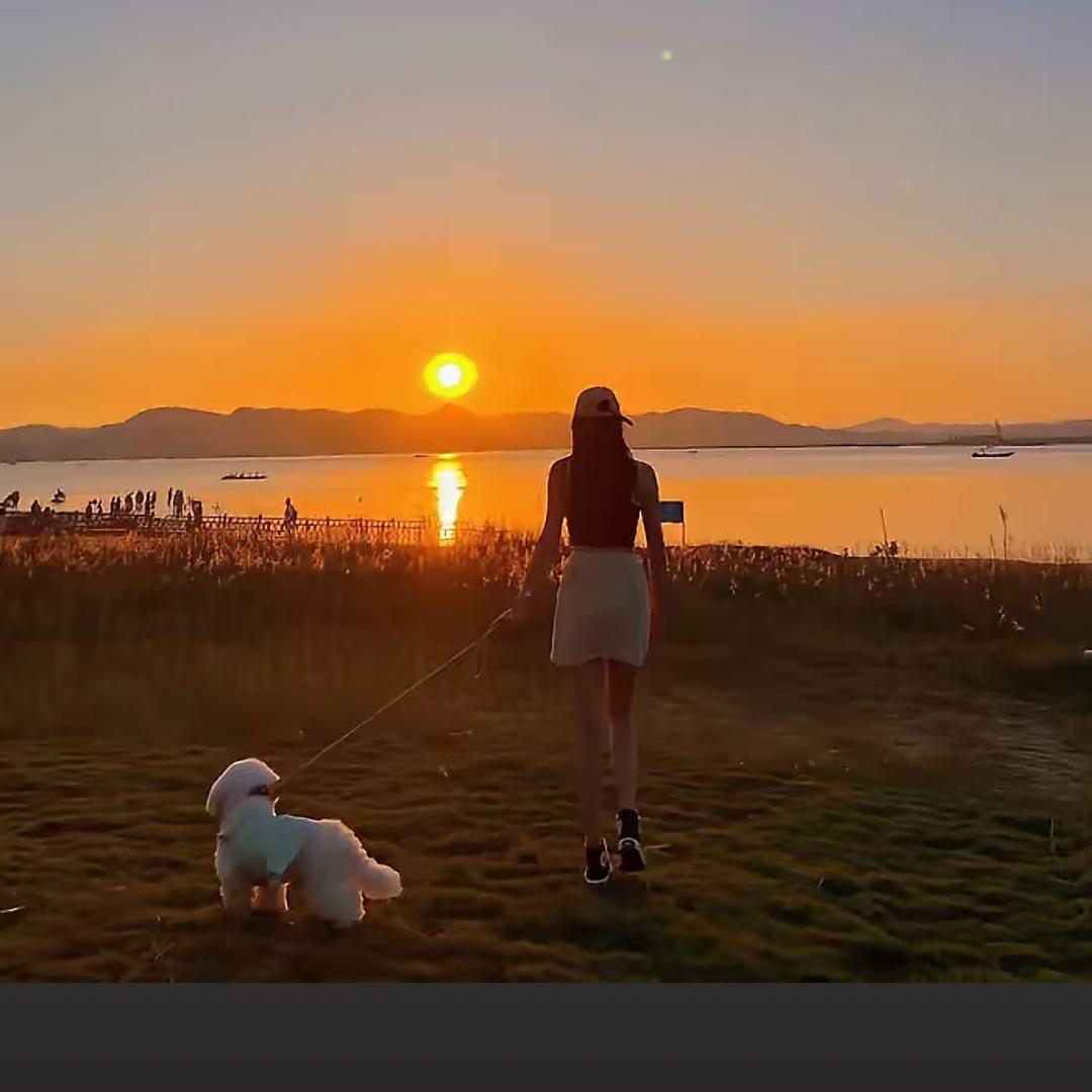 💍扎马尾的小婷婷