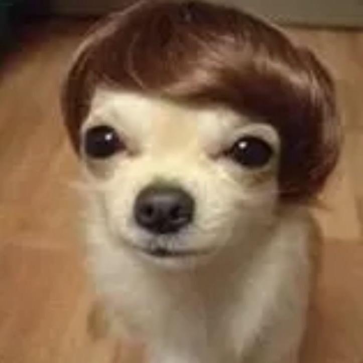 慢灵魂