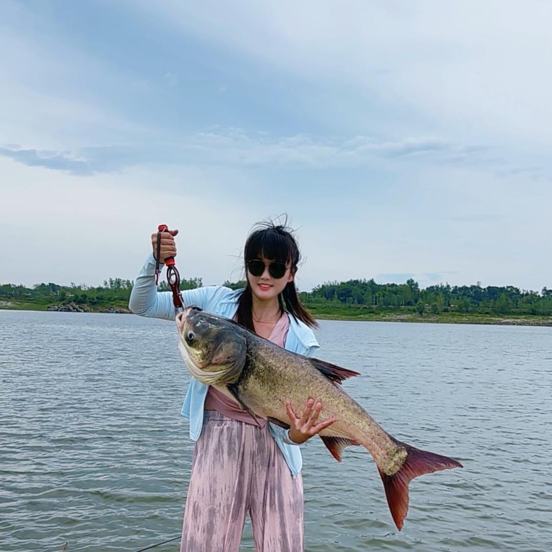 红鲤鱼🎣